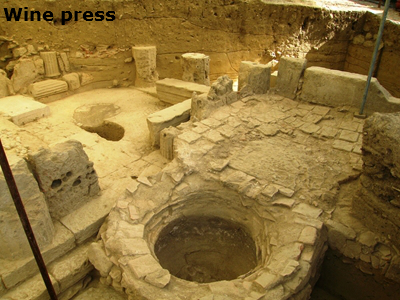 thouria1 image