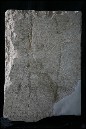 thouria31 image