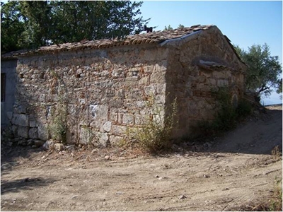 thouria32 image