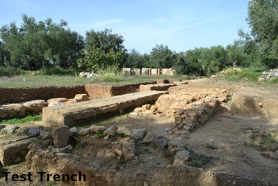 thouria37 image