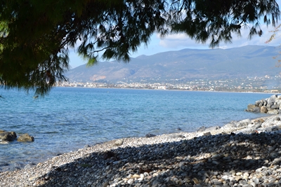 verga8 image