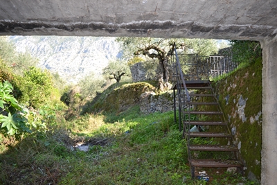verga9 image