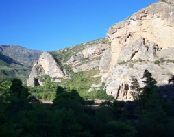 views image