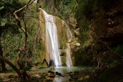 water1 image