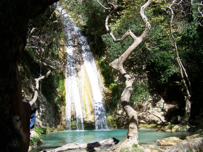 water10 image
