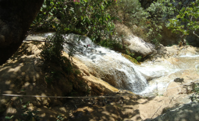 water11 image
