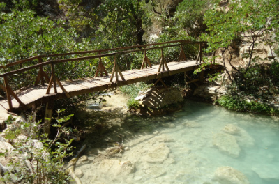 water12 image