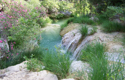 water19 image