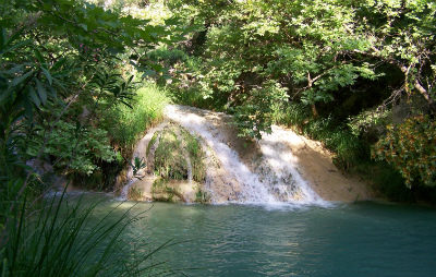 water20 image