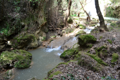 water3 image