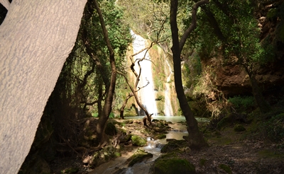 water4 image
