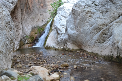 water5 image