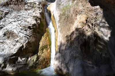water6 image