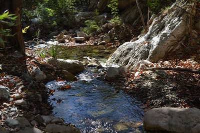 water8 image