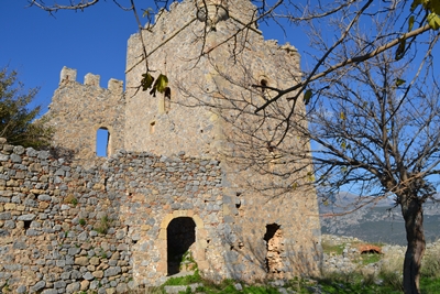 zarnata13 image