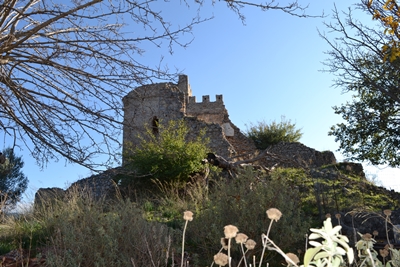 zarnata15 image