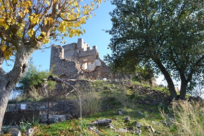 zarnata18 image
