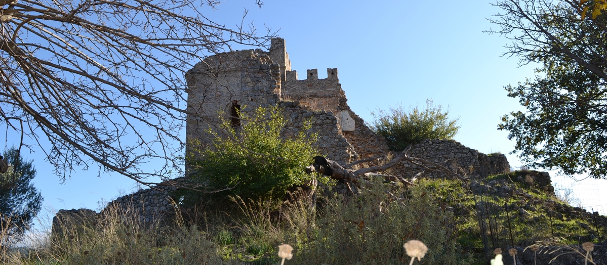 Zarnata