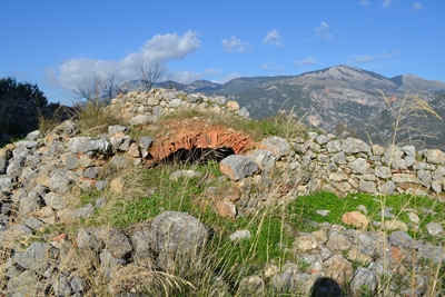 zarnata5 image