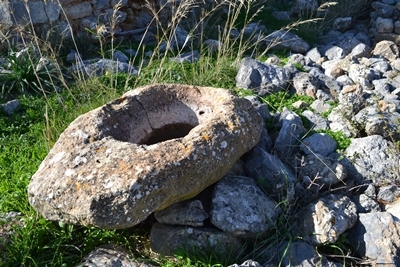 zarnata6 image