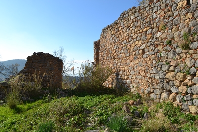 zarnata8 image